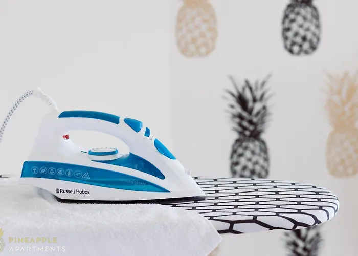 Pineapple - Zwinger - 55qm Apartamento *